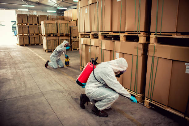 Best Wasp Removal Services  in New Lebanon, OH