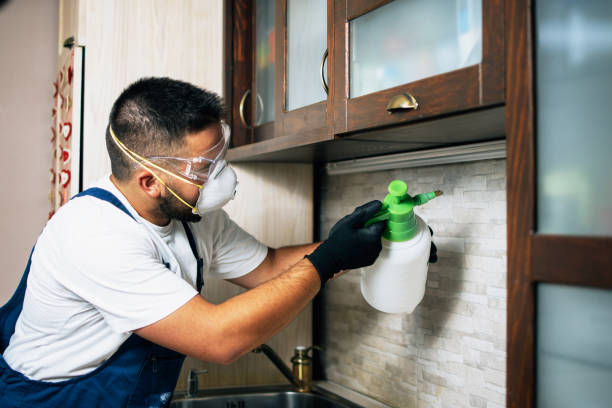 Best Bed Bug Extermination  in New Lebanon, OH