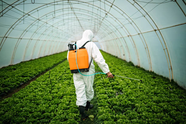 Reliable New Lebanon, OH Pest Control Solutions