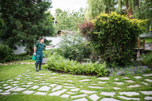 Best Pest Removal Services  in New Lebanon, OH