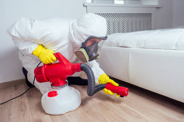 Best Wasp Removal Services  in New Lebanon, OH