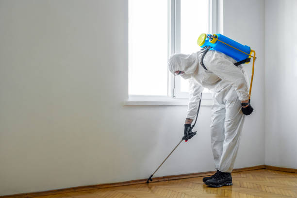 Best Pest Inspection Near Me  in New Lebanon, OH
