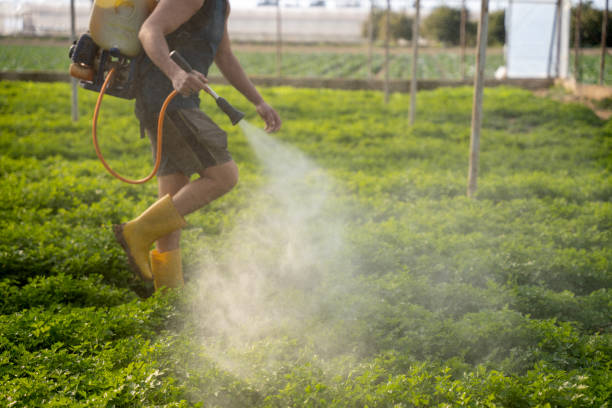 Best Best Pest Control Companies  in New Lebanon, OH