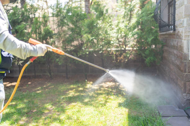Best Spider Control Near Me  in New Lebanon, OH