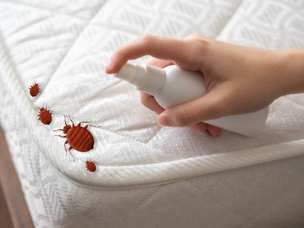 Best Residential Pest Control  in New Lebanon, OH