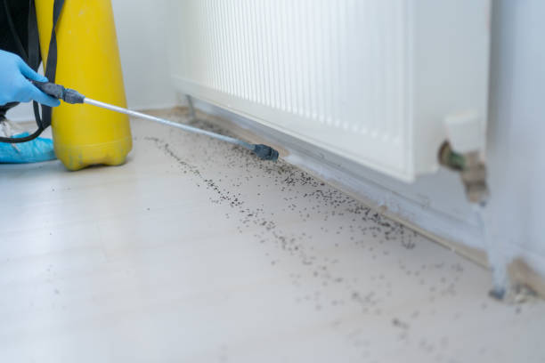 Best Exterminator Services  in New Lebanon, OH