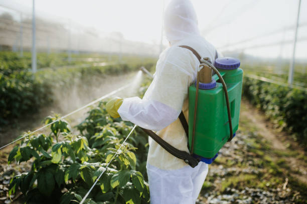 Best Local Pest Control Services  in New Lebanon, OH